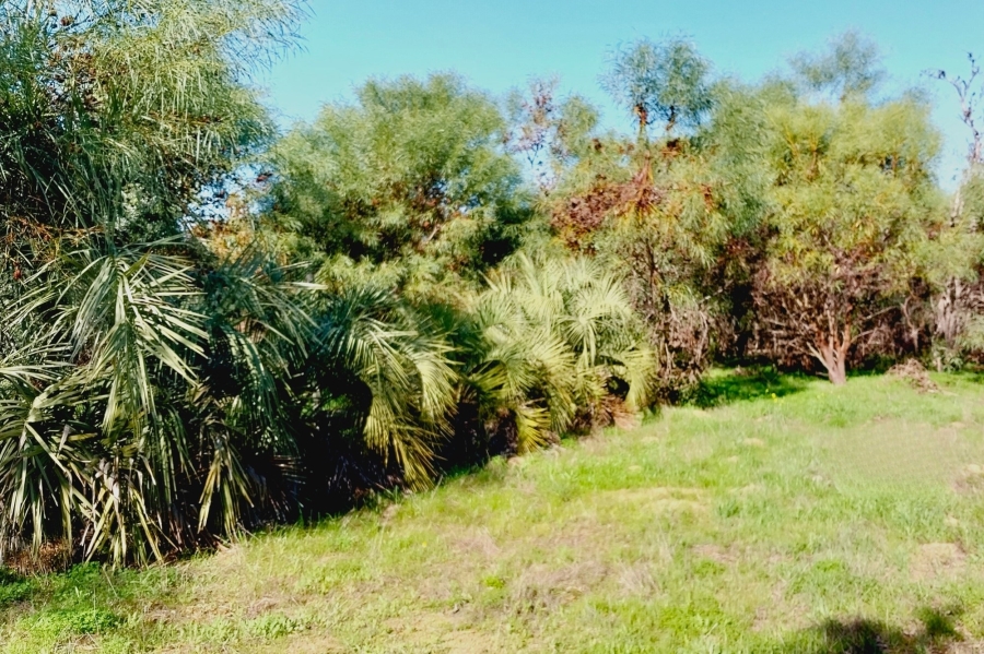 0 Bedroom Property for Sale in Tierfontein AH Western Cape